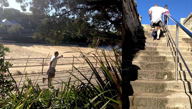 Colins-Coastal-Walk-Nature-Stairs